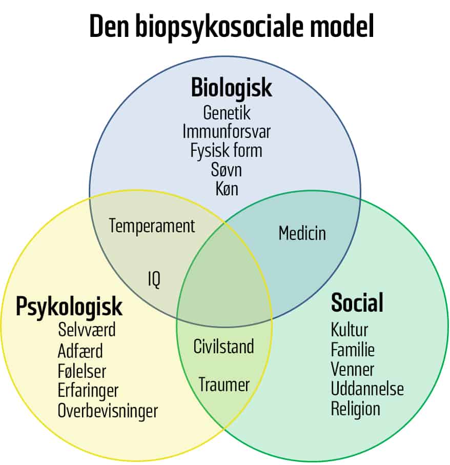 Bio psyko social model